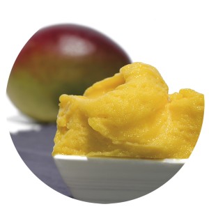 Sorbete de Mango 5 Litros 1ud.