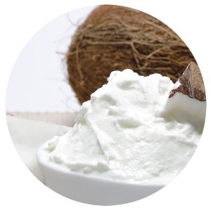 Helado de Coco 5 Litros 1ud.