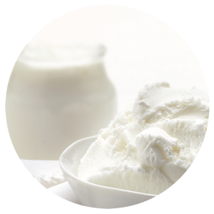 Helado de Yogur Blanco 5 Litros 1ud.