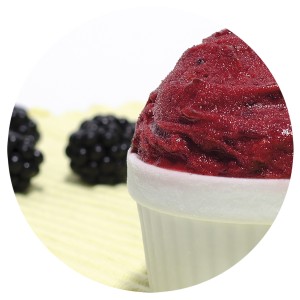 Helado de Frutos del Bosque 5 Litros 1ud.