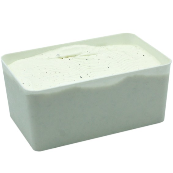 Helado de Vainilla Madagascar 2,5 Litros 1ud.