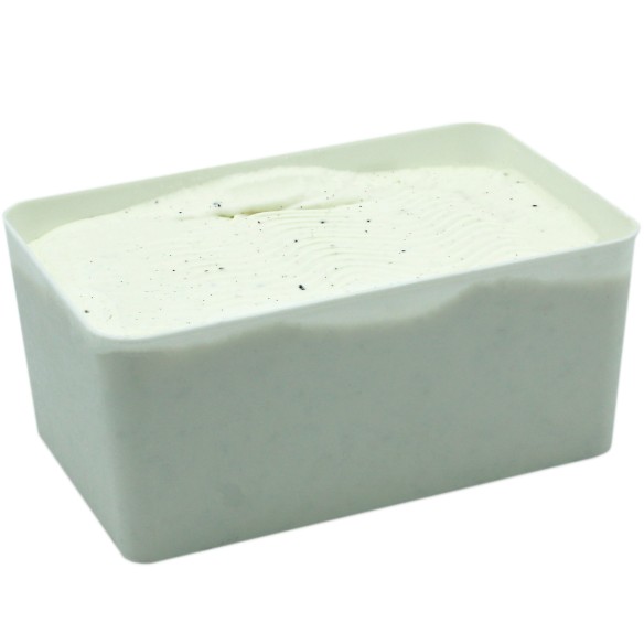 Helado de Vainilla Madagascar 2,5 Litros 1ud.