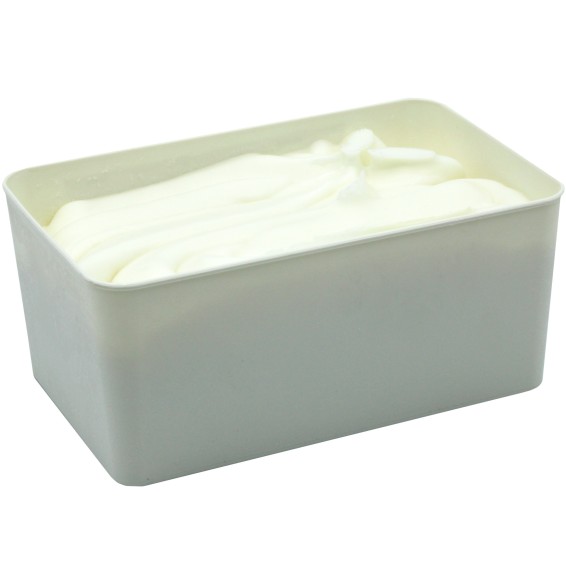 Sorbete de Limón 2,5 Litros 1ud.