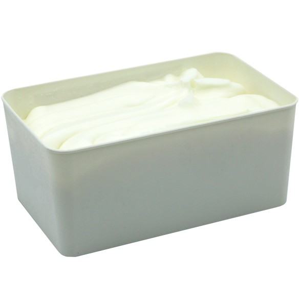 Sorbete de Limón 2,5 Litros 1ud.