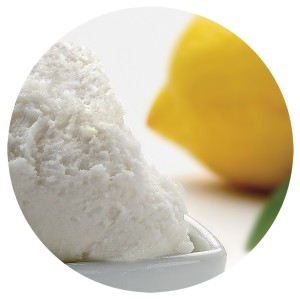 Sorbete de Limón 2,5 Litros 1ud.