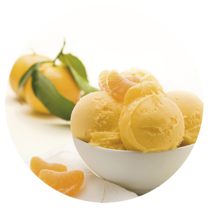 Sorbete de Mandarina Sicilia 2,5 Litros 1ud.