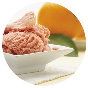 Sorbete de Naranja Sanguina Sicilia 2,5 Litros 1ud.