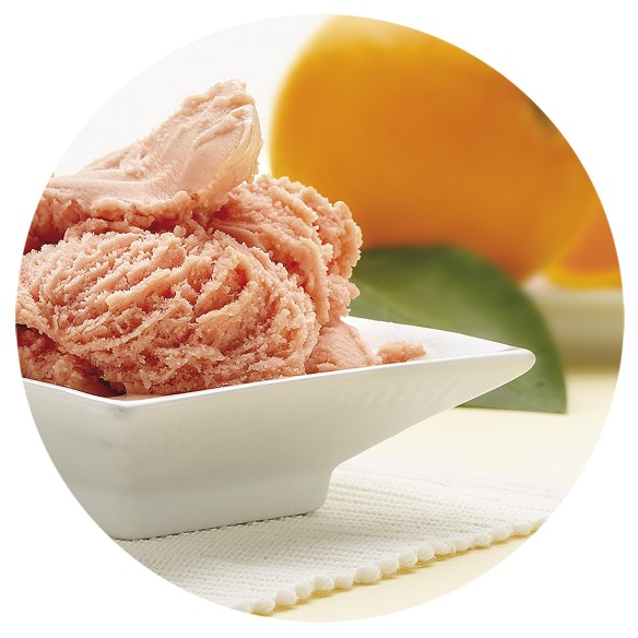 Sorbete de Naranja Sanguina Sicilia 2,5 Litros 1ud.