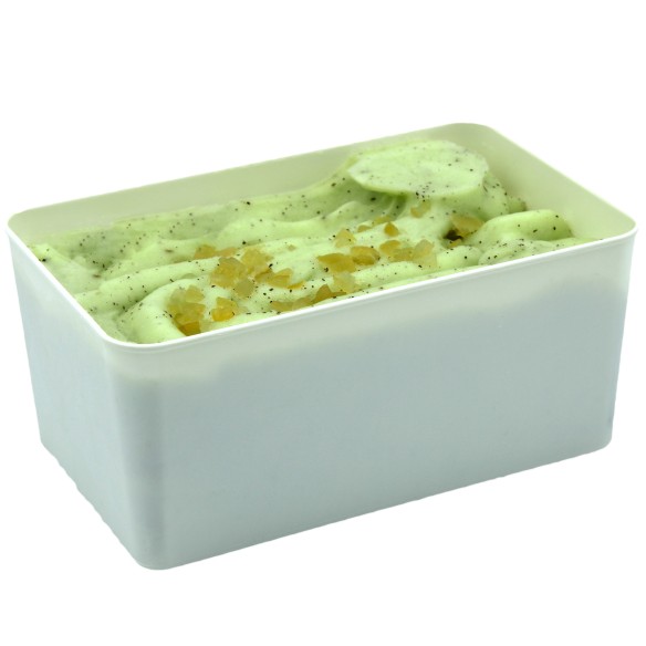 Sorbete de Mojito 2,5 Litros 1ud.