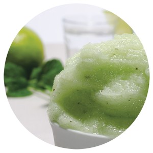 Sorbete de Mojito 2,5 Litros 1ud.