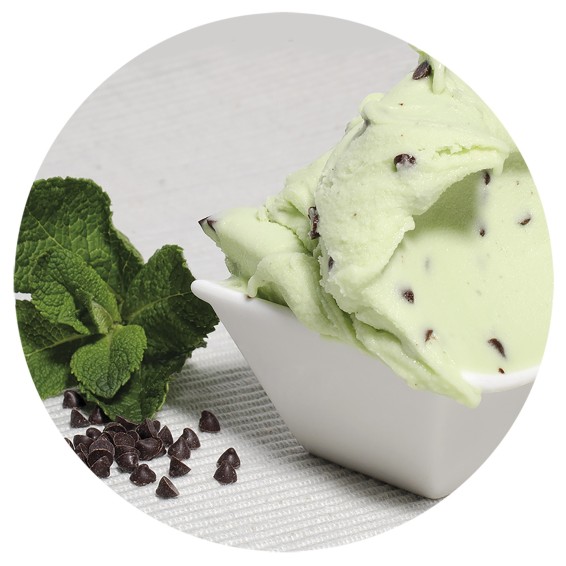 Helado de Chocolate a la Menta 5 Litros 1ud.