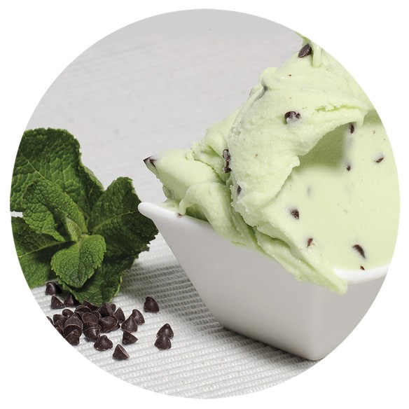 Helado de Chocolate a la Menta 5 Litros 1ud.