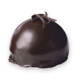 Sacher Mono Porción 90grs. 9uds.