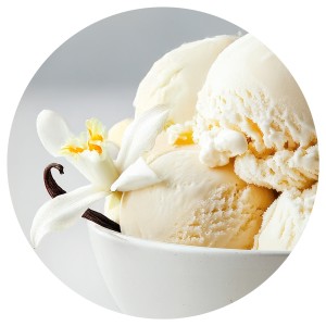 Helado de Vainilla 5 Litros 1ud.