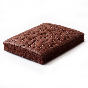 Bizcocho Chocolate 37x30x4cm. 2.450grs. 2uds.