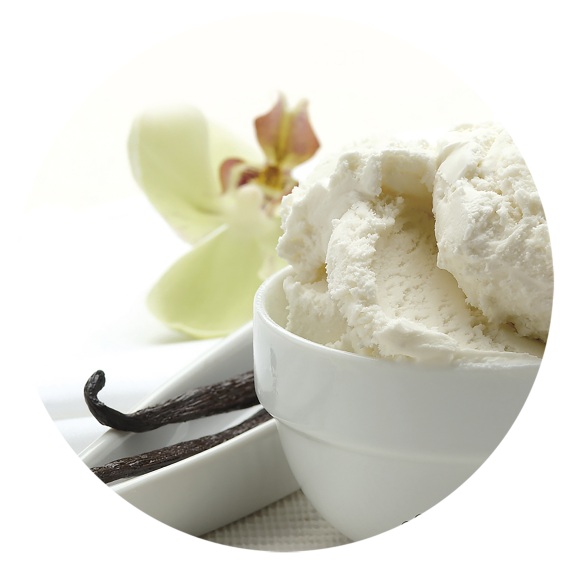 Helado de Vainilla Madagascar 5 Litros 1ud.