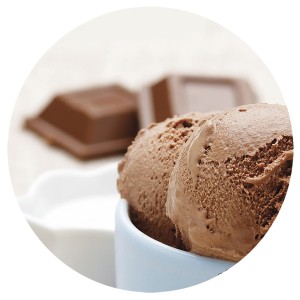 Helado de Chocolate 5 Litros 1ud.